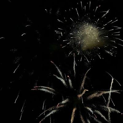 电玩舞会森林手机app下载