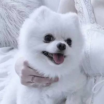 腾讯分分下载手机版