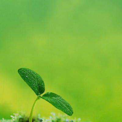 足球北单官方网站