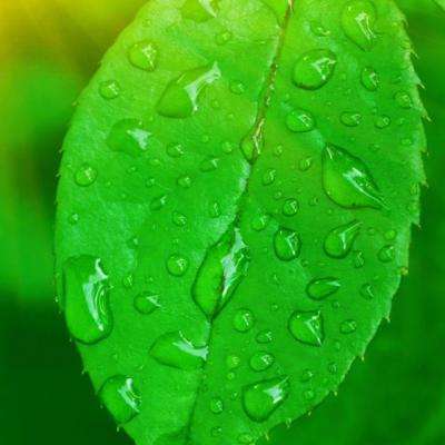 皇冠正规娱乐平台app下载