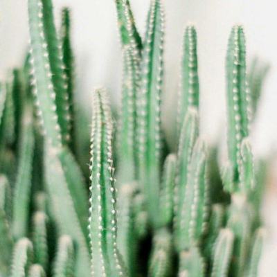 hth会体会官方网页版